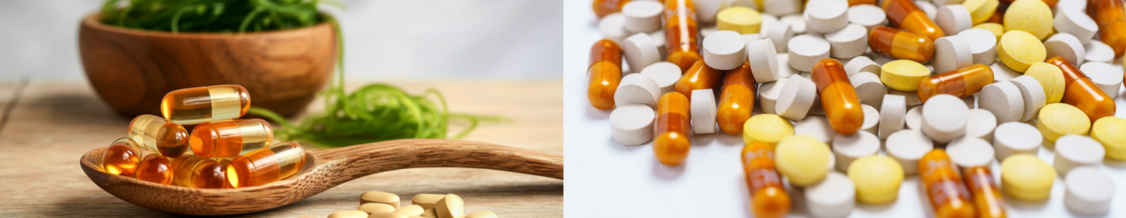 Purcino Wellness Reviews