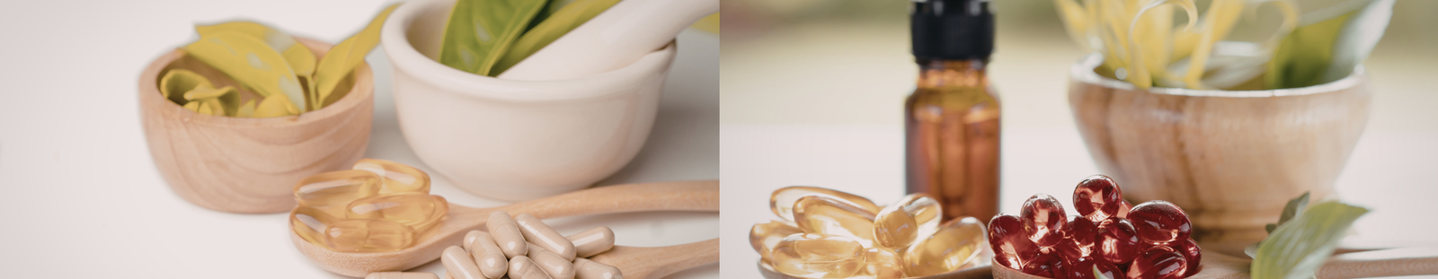 Purcino Wellness Reviews